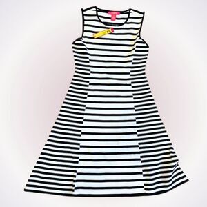Catherine Striped A-Line Knit Tank Dress | Sz L, NWT